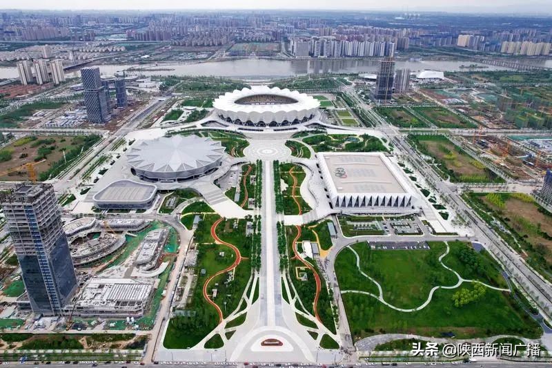 花样游泳锦标赛冠军,花样游泳世锦赛2024几块金牌