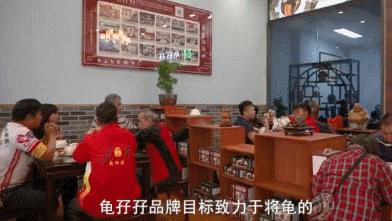 龟汤药材配方,石龟煲汤料配方大全