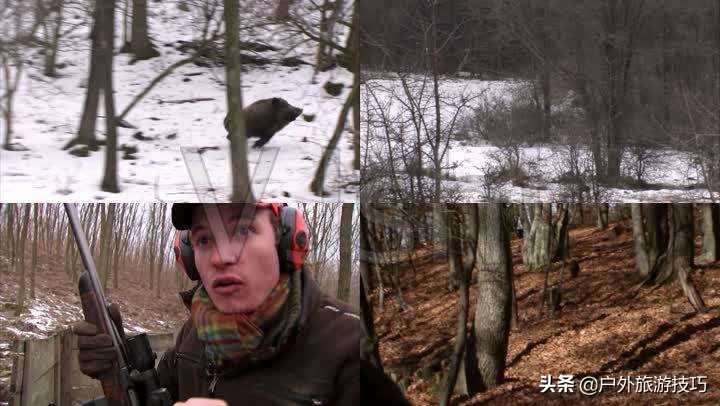 鍥藉鐙╃寧閲庣尓,缇庡浗鎹曠寧閲庣尓