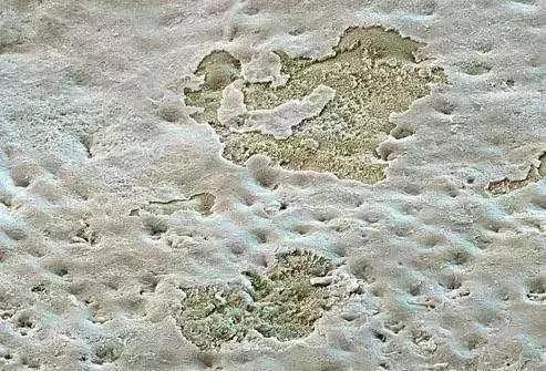 除了帅简直就一无是处,除了帅其他还有什么优点