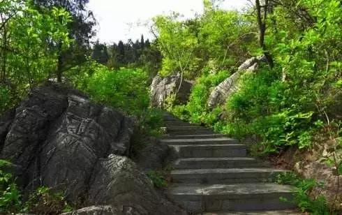 淮南舜山比赛,淮南舜耕山自行车越野