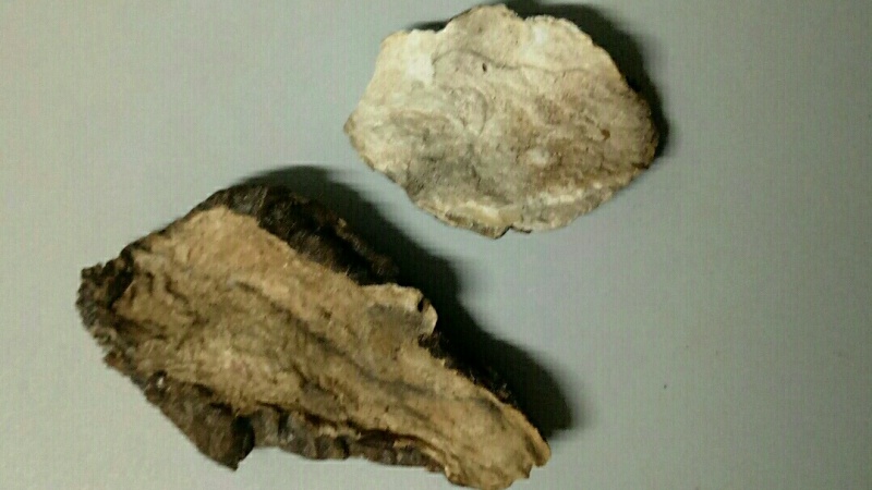 附子治疗心脏病医案,大量吃附子治心衰