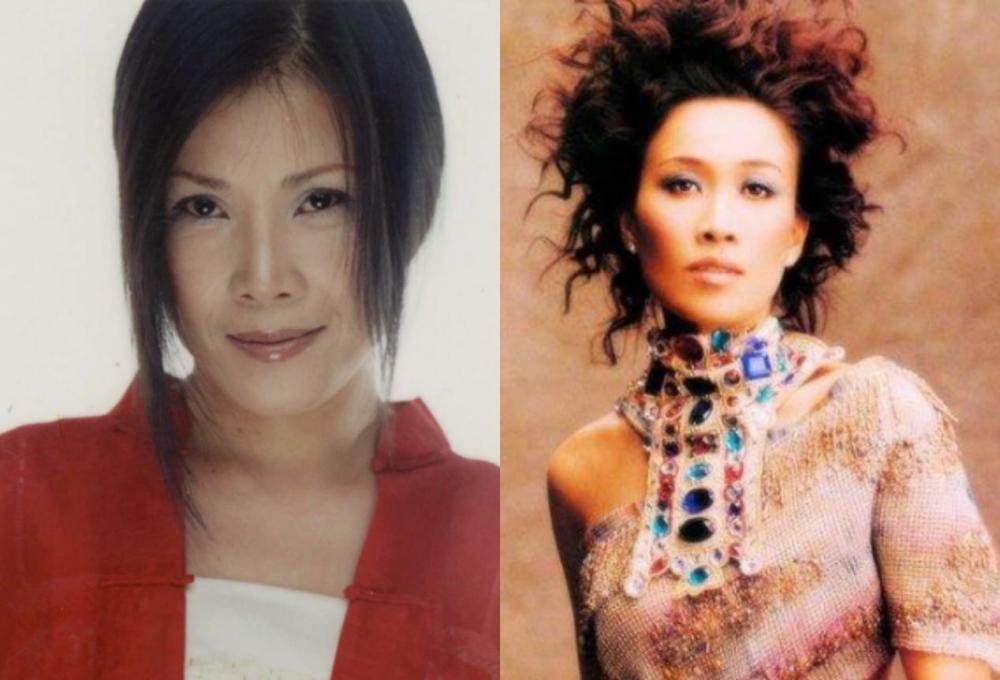 田震多年后对那英的评价,多年后田震评价那英