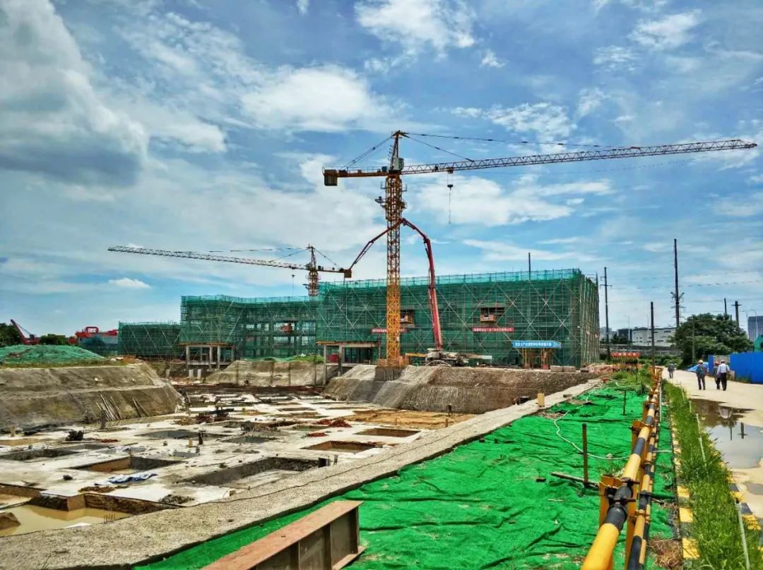 带你了解家门口的学校,家门口的新优质学校