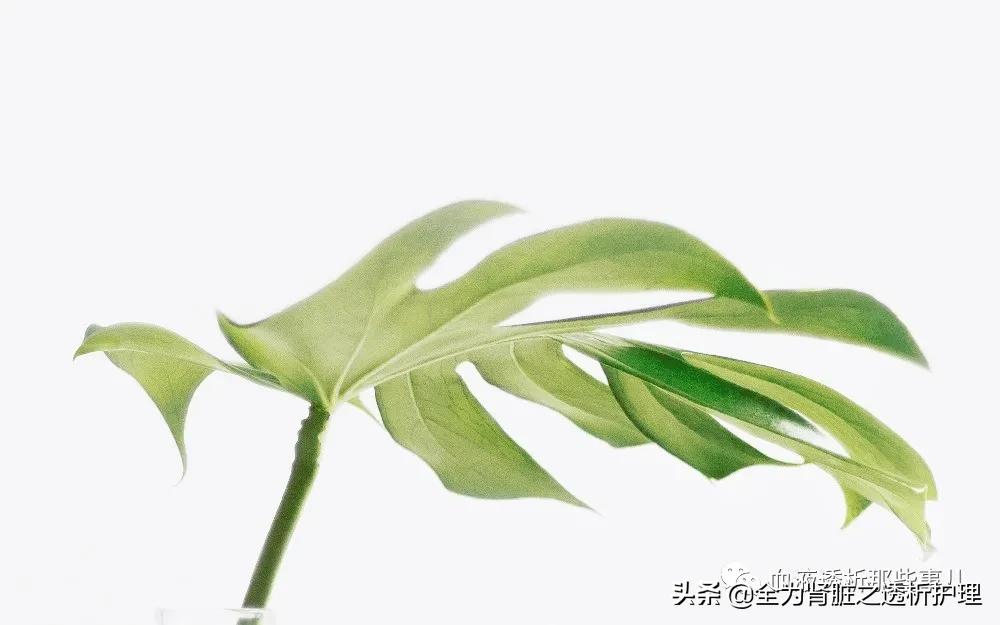 血液透析患者心理护理的现状,血液透析护士危险吗