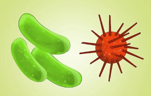 人体的淋巴结怎么检查,淋巴结肿大最好的检查方法