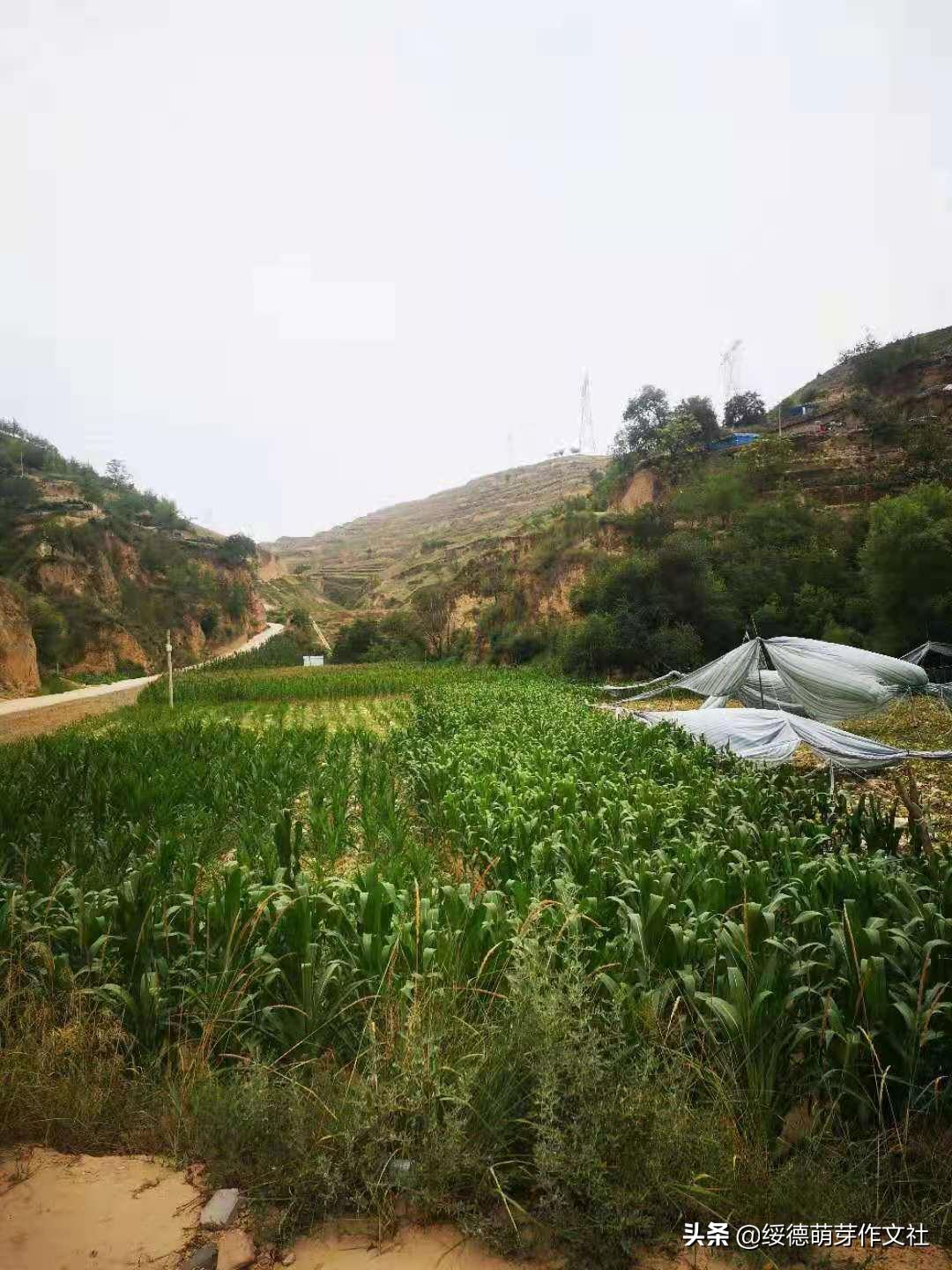风雨兼程中的郝家桥