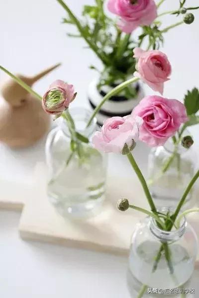 插花的基本步骤视频,插花的具体流程图片