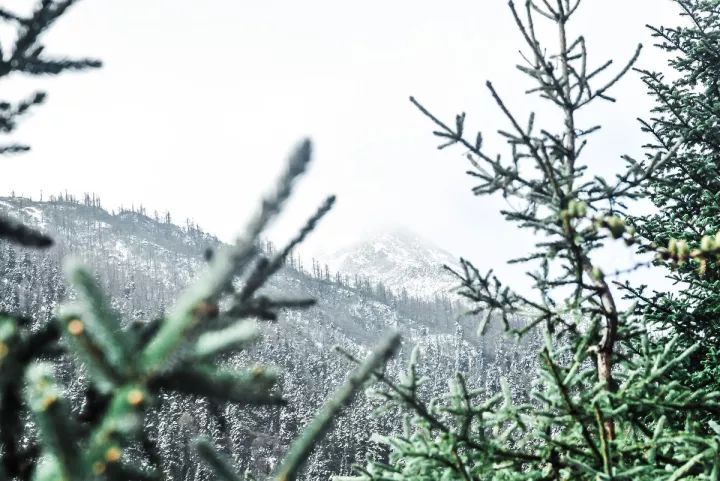 川西最美景点排行榜,四川冬季除了川西能去哪里