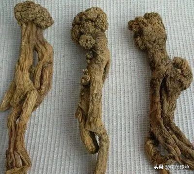 *党**参在市场上有哪些掺假现象？我们如何区分质量好坏？