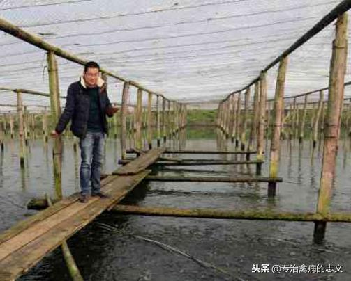 养殖简易大棚搭建成本多少钱一亩,养殖大棚如何节约成本