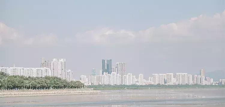 深圳海岸线高清图,深圳比较漂亮的海岸线