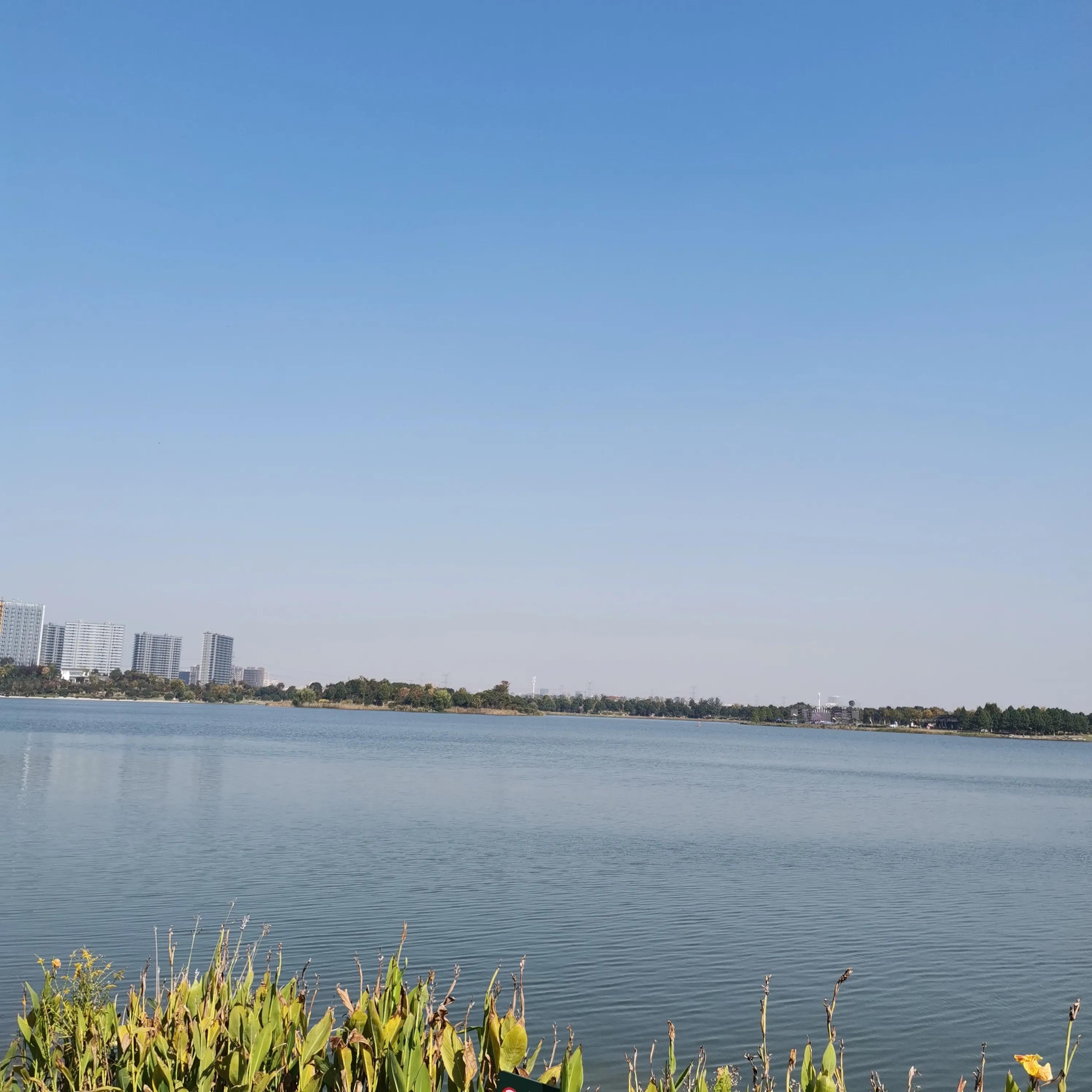 谈自由：如何才能活得自由