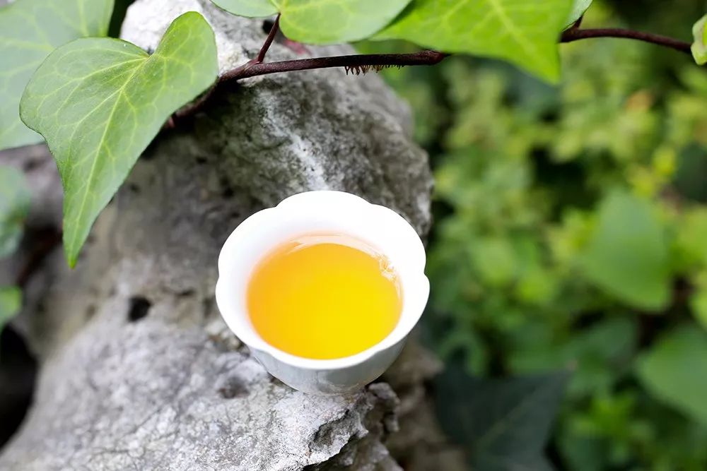 味道最香的十种茶,中国最香的5款茶你都喝过吗