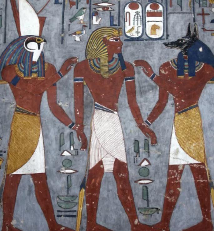 揭秘动物世界的“冷知识”,动物世界中的奇妙之处