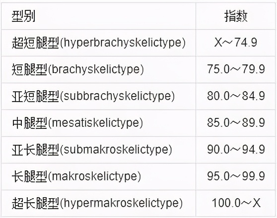 九头身美女日本,九头身美女