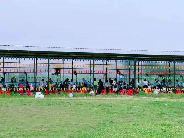 长沙月亮岛附近有哪些好的农家乐,长沙农家乐好玩的地方推荐一日游