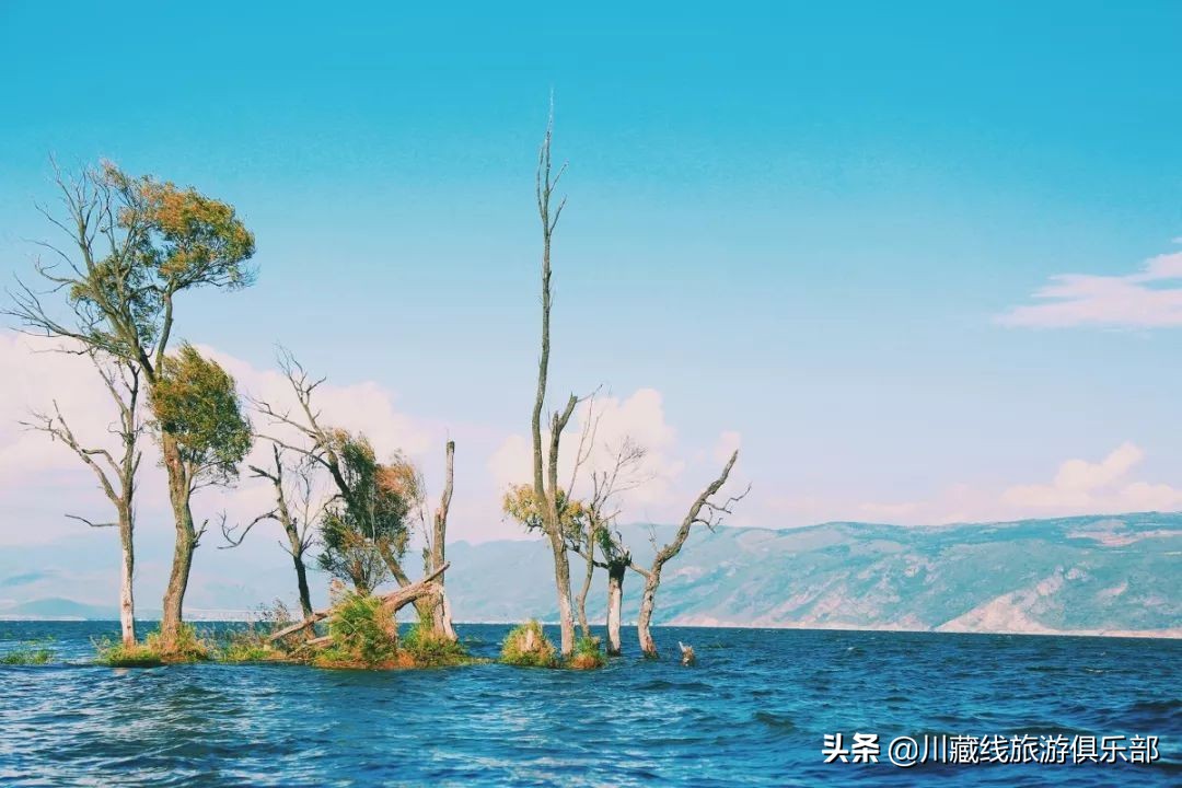 和爱旅行的人结婚,后来都怎样了?