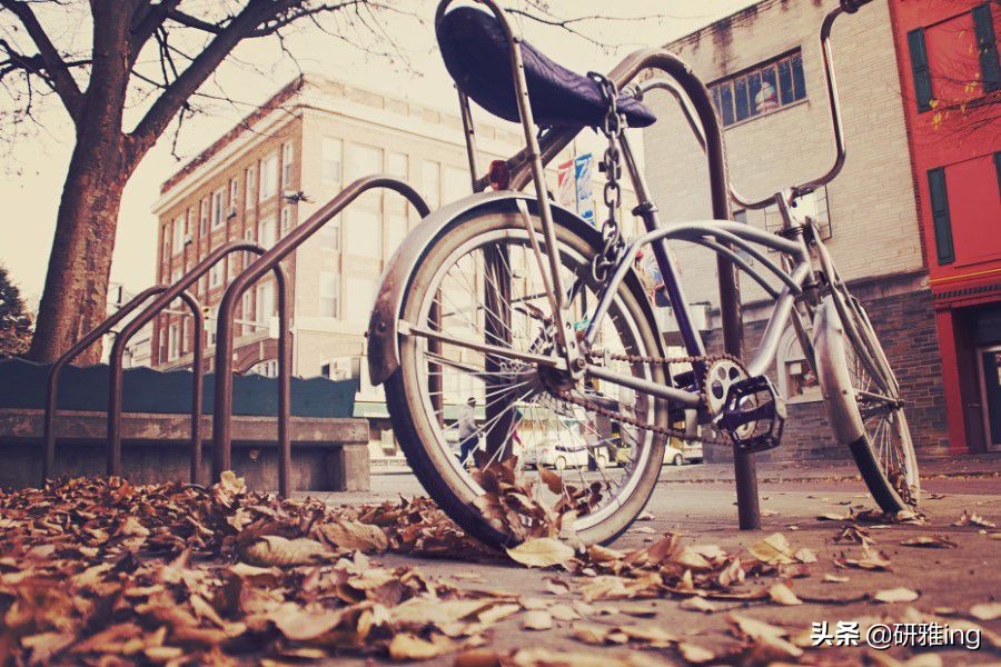 为什么我们都要有一颗终生学习的心，不管是出国，还是学习其他的