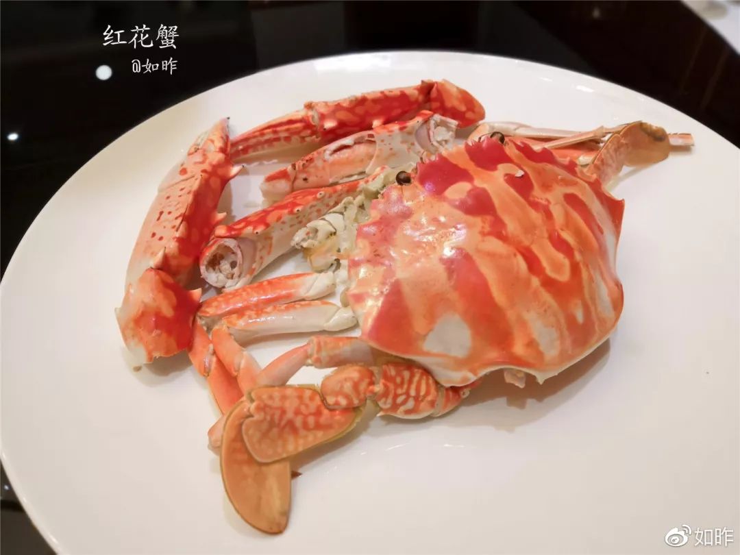 美食大咖私房菜,精选美食推荐让你的味蕾享受盛宴