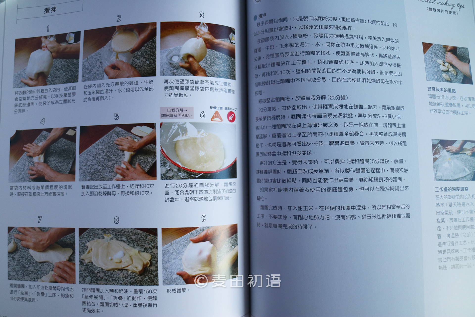 烘焙新手书,新手面包烘焙入门书