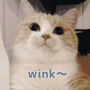 莱昂纳多的巅峰颜值,莱昂纳多颜值巅峰在哪个电影