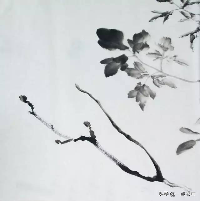 王绣写意牡丹画法步骤,王兮然写意牡丹画法视频大全