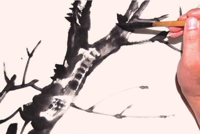 国画花枝穿插技巧图解,国画花枝的简单教程