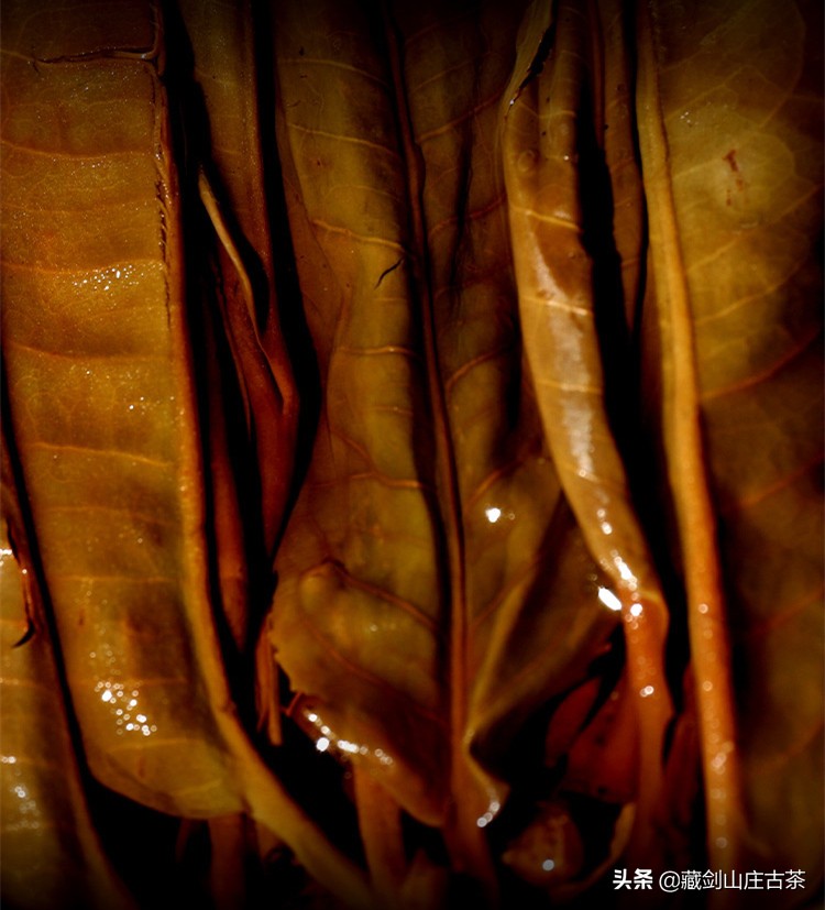 郭少华蓝根印记,郭少华原版视频