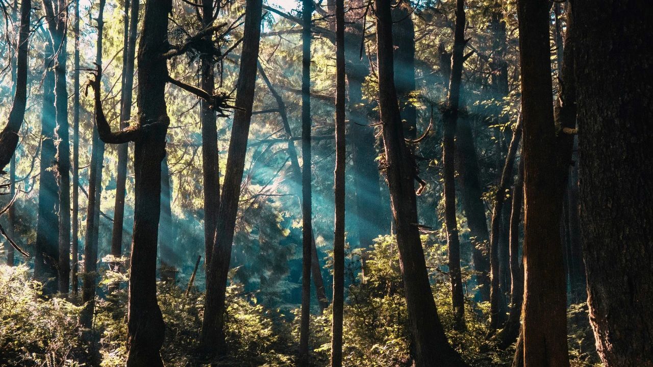 所谓的康养是真的吗,太顺太极