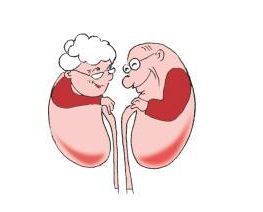 干货一图读懂体检报告单上的数值,如何看懂体检表上各项数据