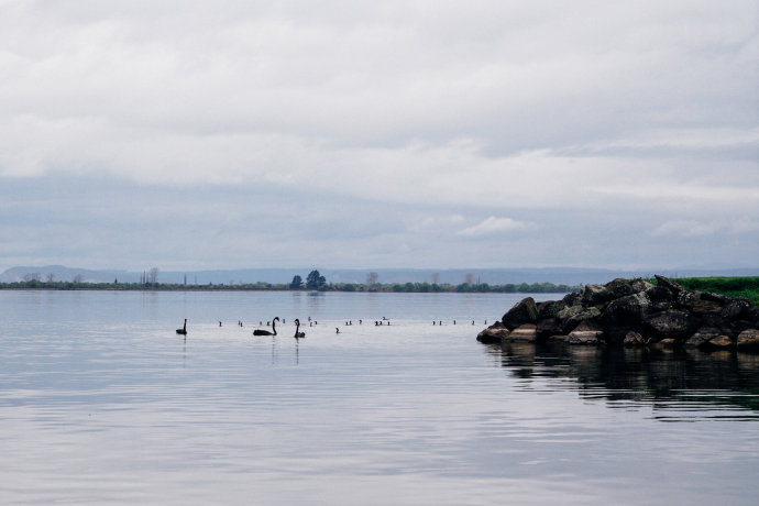 新西兰｜在首屈一指的滑雪胜地，与黑天鹅一起戏水