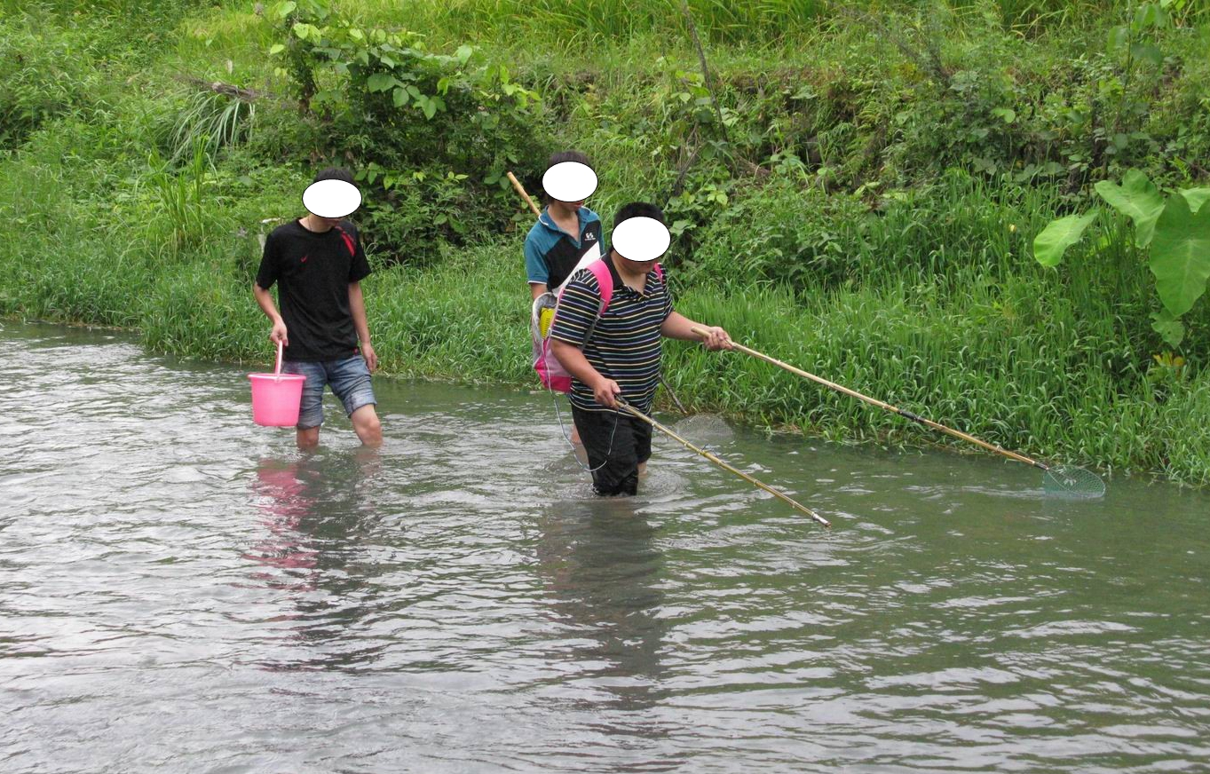 电鱼被抓到会怎么处理,电鱼被警察抓到会有什么事