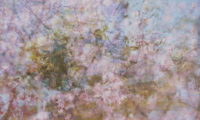 51疯狂折扣,女装3折起,1分抢50元代金券,带上消费券羊毛薅起来