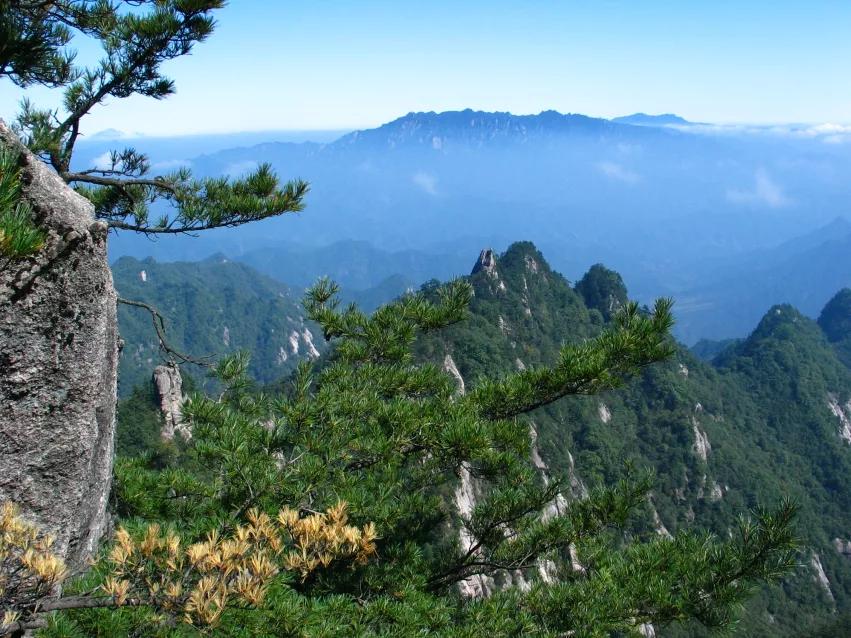 洛阳旅游年票嵩县在哪里办理,嵩县旅游年票价格表