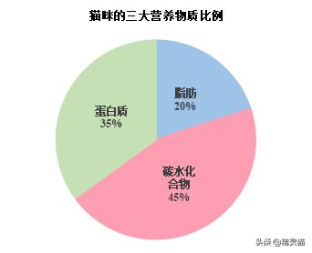 给猫咪买猫粮怎么看配方,猫粮不懂怎么选品牌