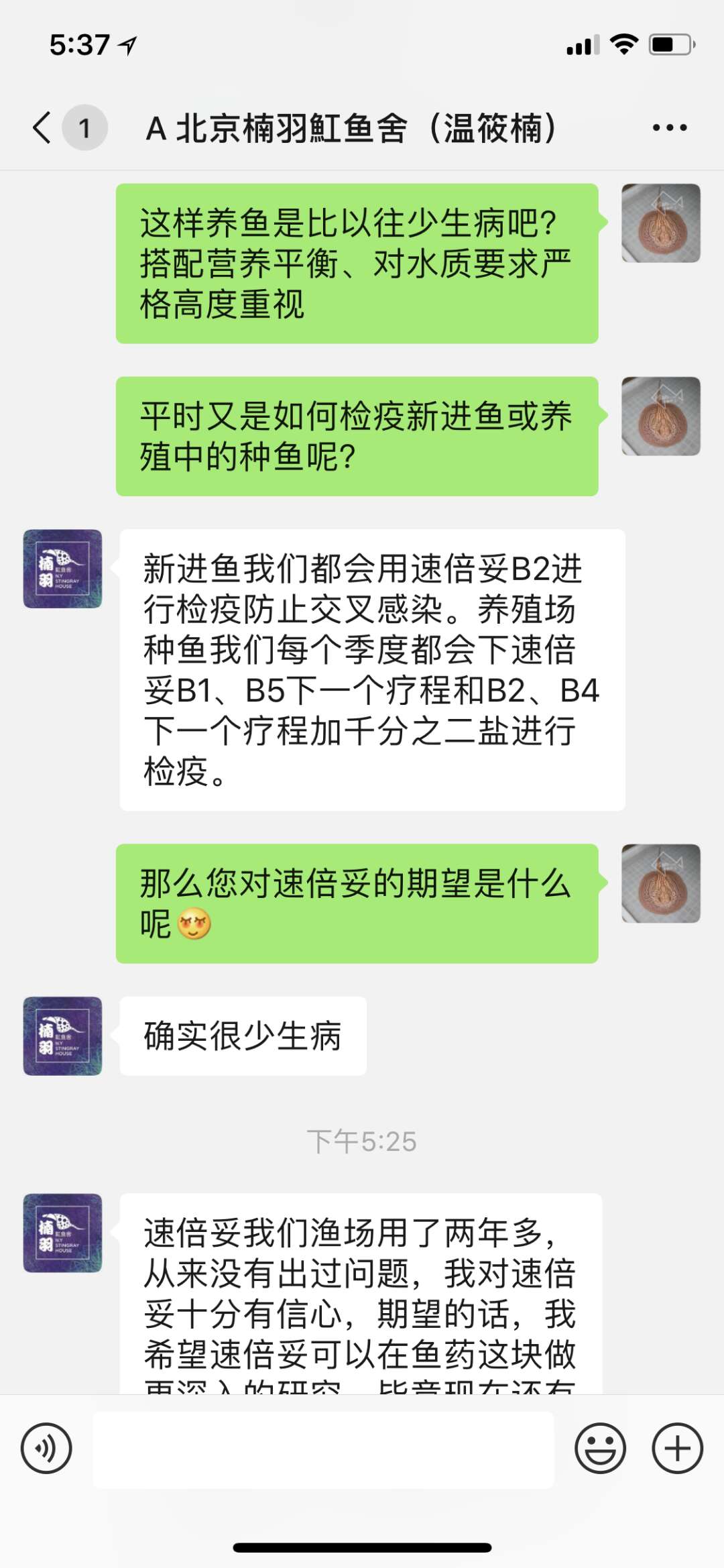 楠羽养鱼经全集,楠羽魟鱼