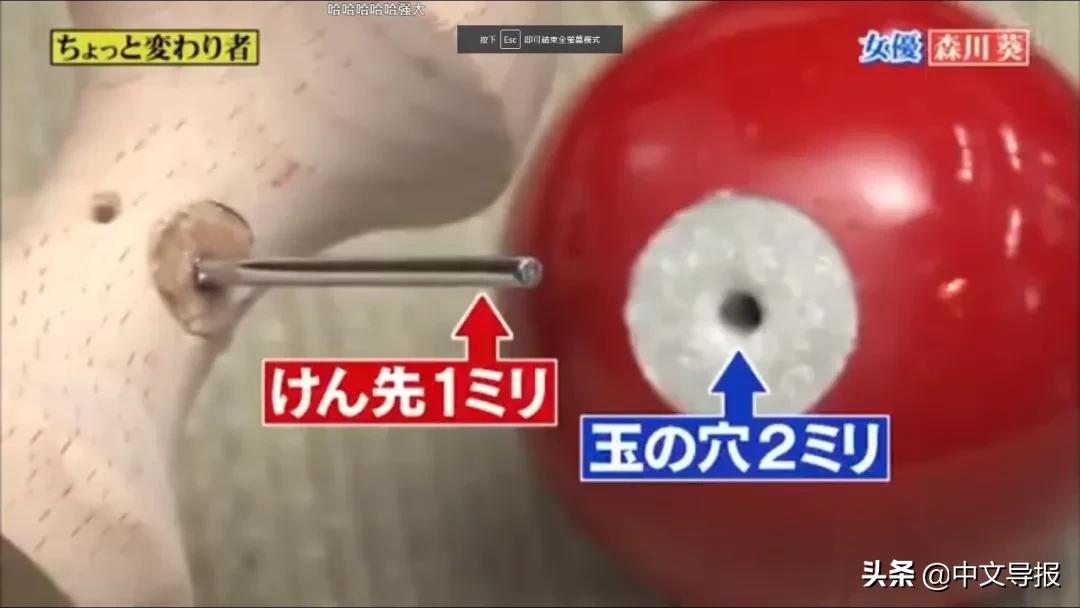 日本开挂的女孩,日本开挂天才少女森川葵