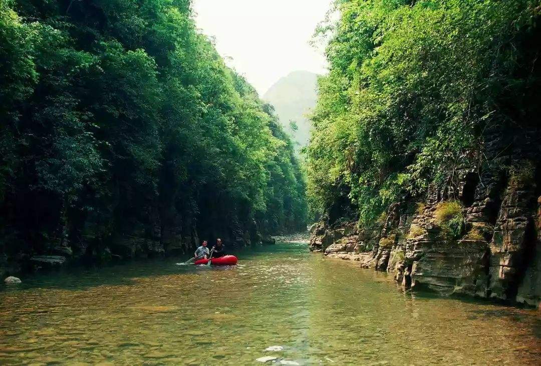 重庆市万州区人民政府,重庆市万州区房价