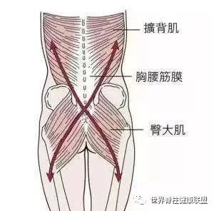 体能康复与体能训练,体能康复的定义是什么