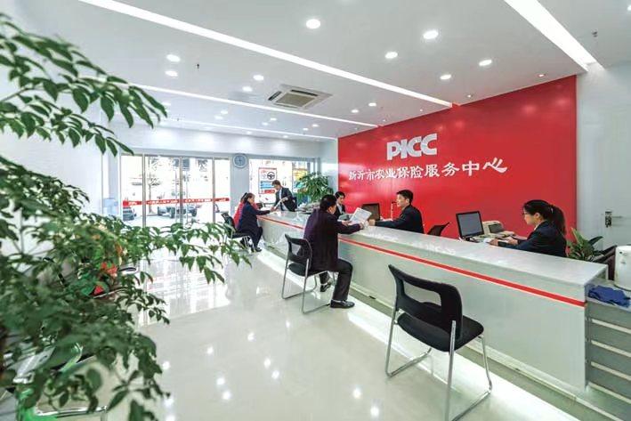 扎扎实实服务乡村振兴战略徐州人保财险创新农险高质量发展纪实