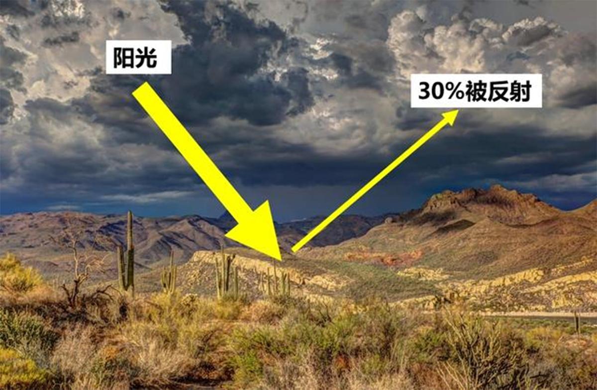 潘多拉动物盒子,潘多拉盒里面的黑色怪物