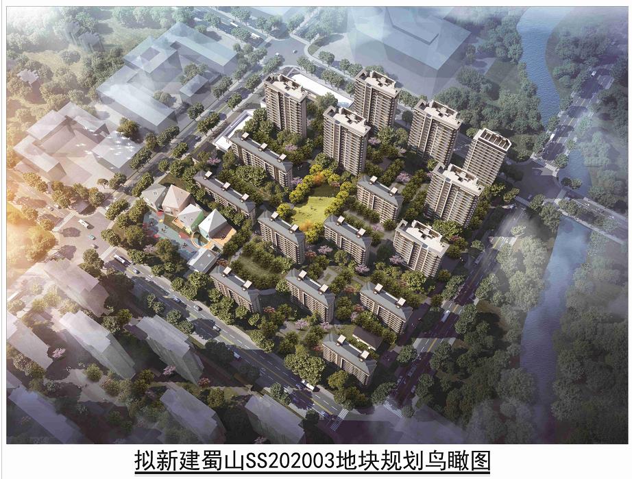 合肥蜀山区运河新城小庙,合肥运河小庙未来发展