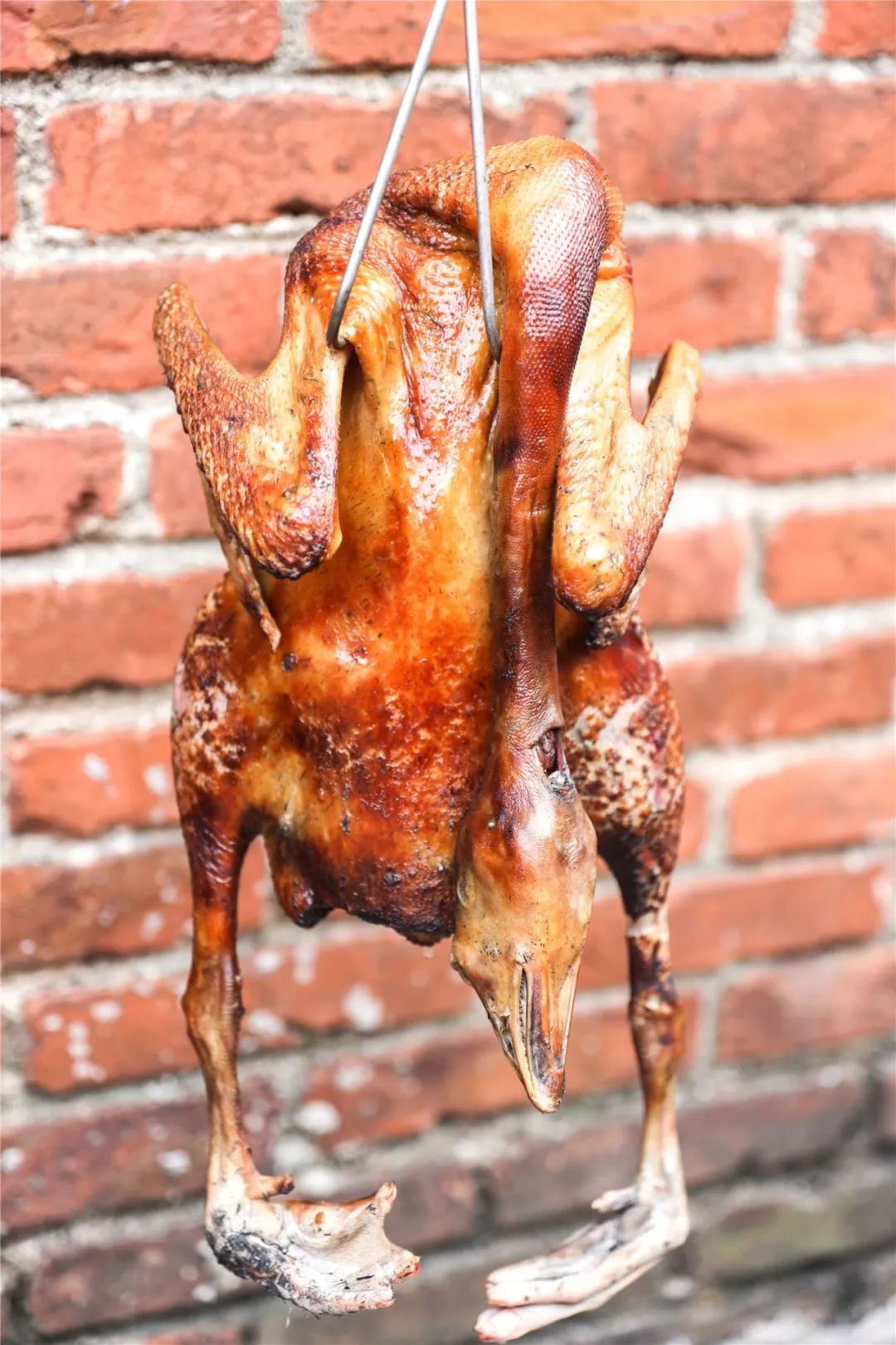 南海有家,南海食鹅哪家好