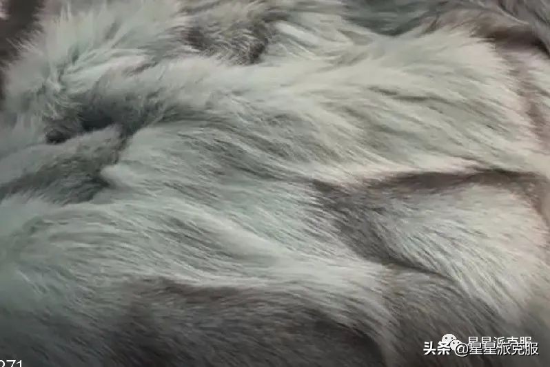 怎么辨别派克服貂毛,如何判断派克服内胆是狐狸毛