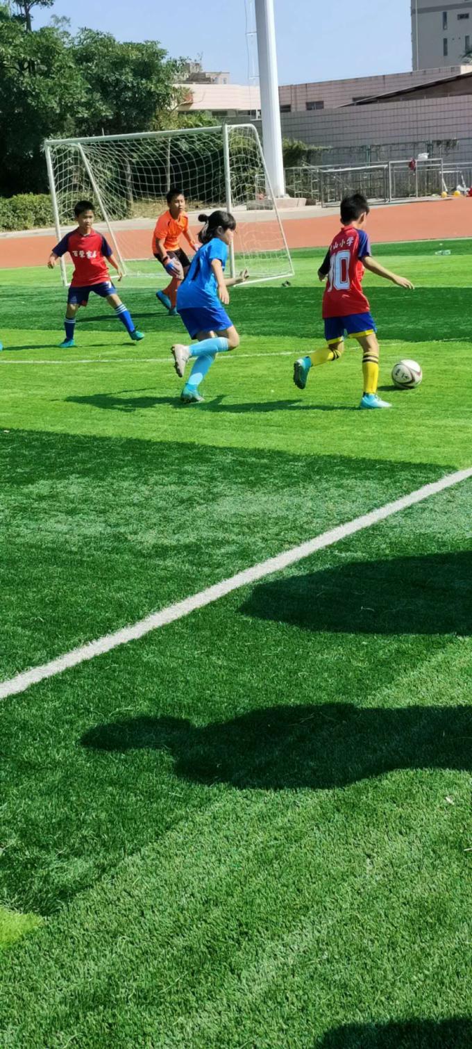 石井球赛,石井镇中心学校足球比赛