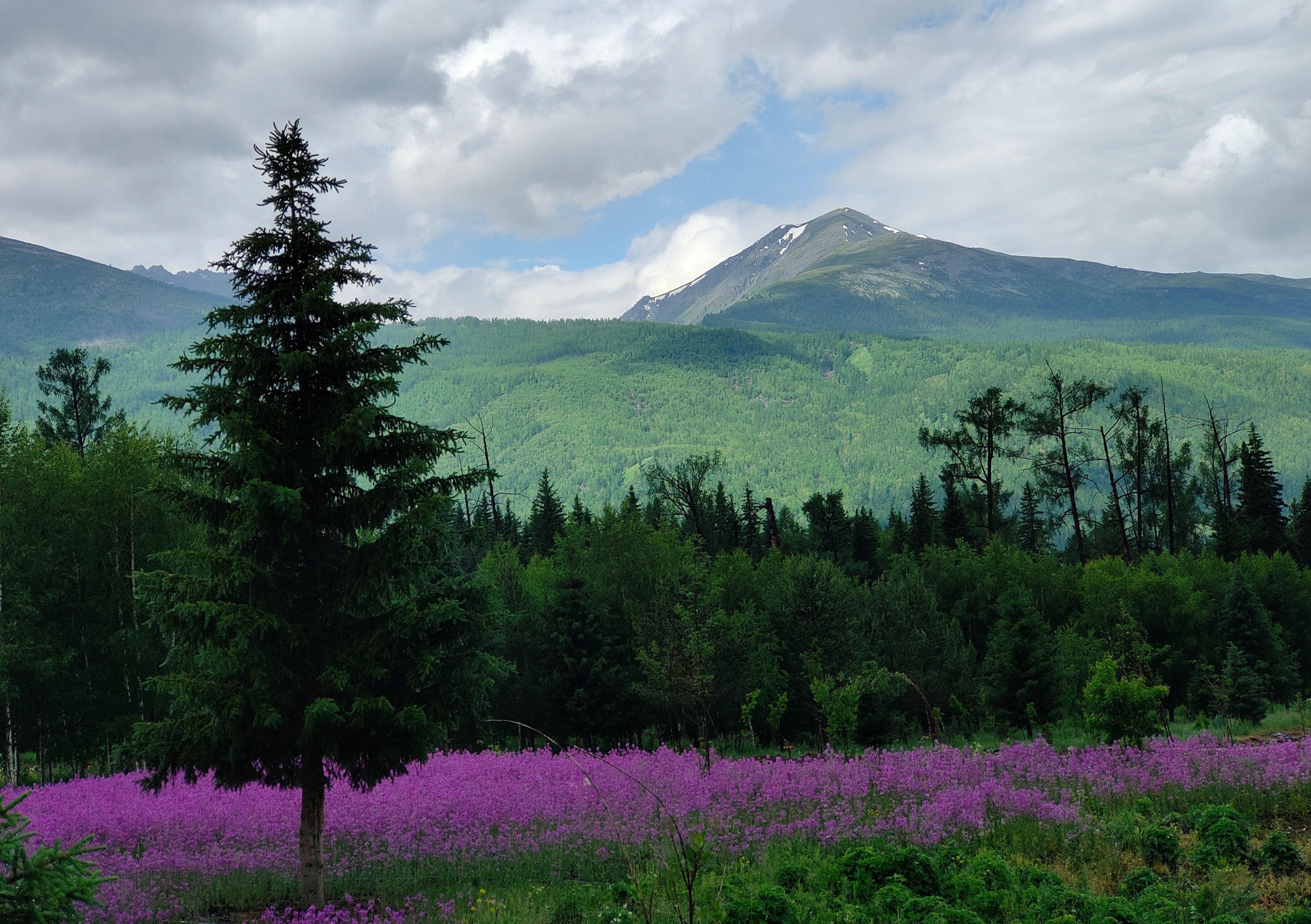 opporeno6pro尝鲜,opporeno6pro+体验