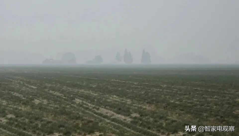 小熊电器是怎么发展的,小熊电器的内部分析