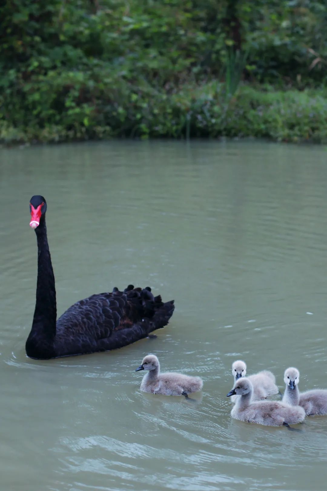 扬州旅游优选,扬州这个季节值得去玩的地方