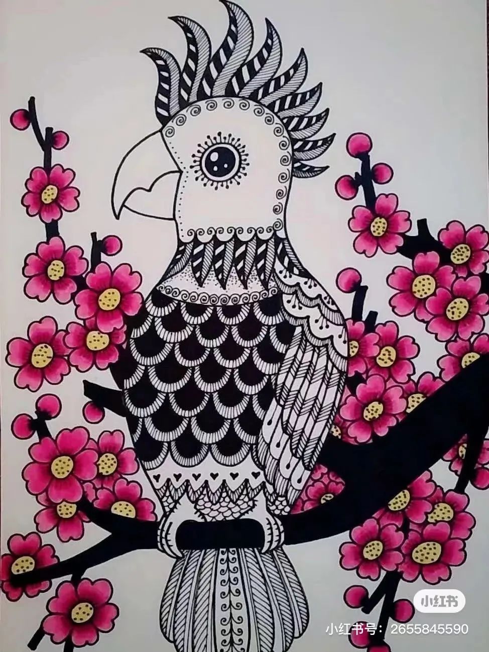 线描绘画大师绘画图片,国外线描花卉素材图片